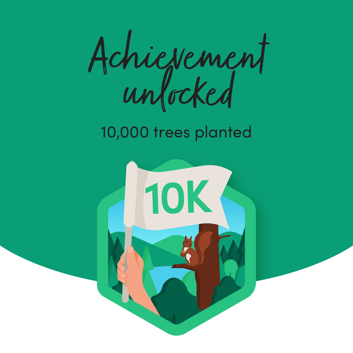Planting trees & doing our bit