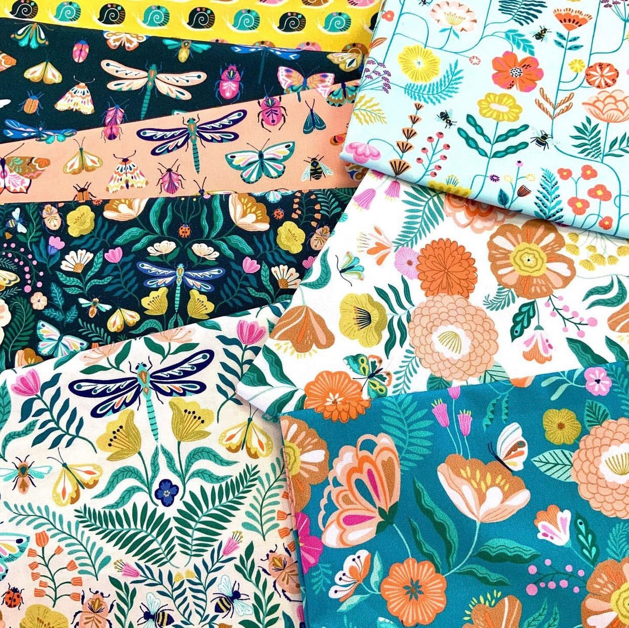 Dashwood Studio