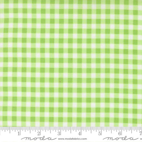 Moda Fabrics - Fruit Salad - Painted Gingham in lime