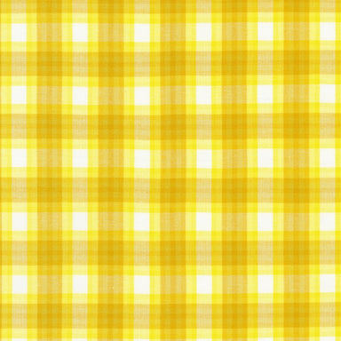 Kitchen Window Wovens - Elizabeth Hartman - Windowpane plaid in citrus