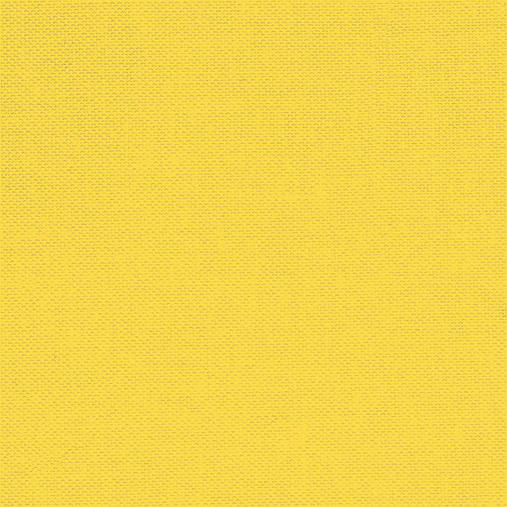 Devonstone Fabrics - DC Solids Sunny Side Up