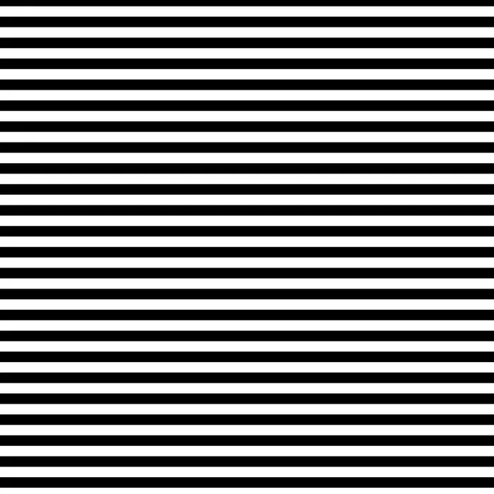 Devonstone Fundamentals -  Black and White 1/4 inch stripe