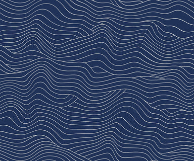 Ruby Star Society - Water - Wavelength in navy END OF BOLT