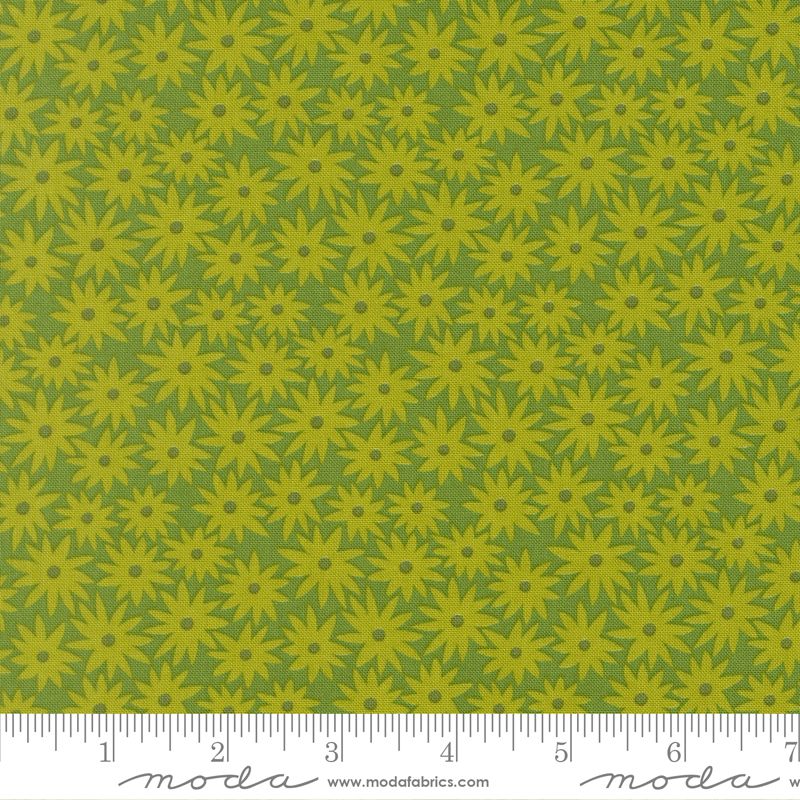 Elizabeth Hartman Scenery - Sedum - Limeade