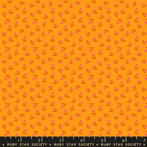 1-800-Calico - Sprout - Cheddar