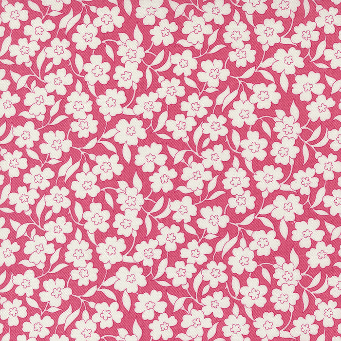 Flower Power - Primrose on dark pink