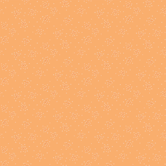 Arcadia - Pippa Shaw - Starburst in Orange