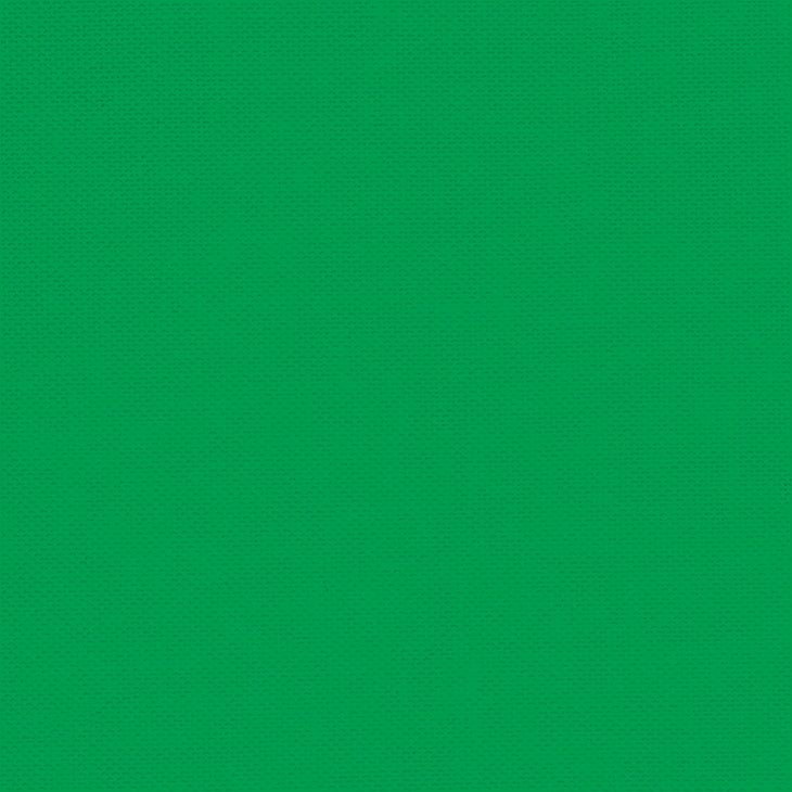 Devonstone Fabrics - DC Solids in Crocodile Green