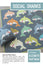Elizabeth Hartman - Social Sharks quilt pattern